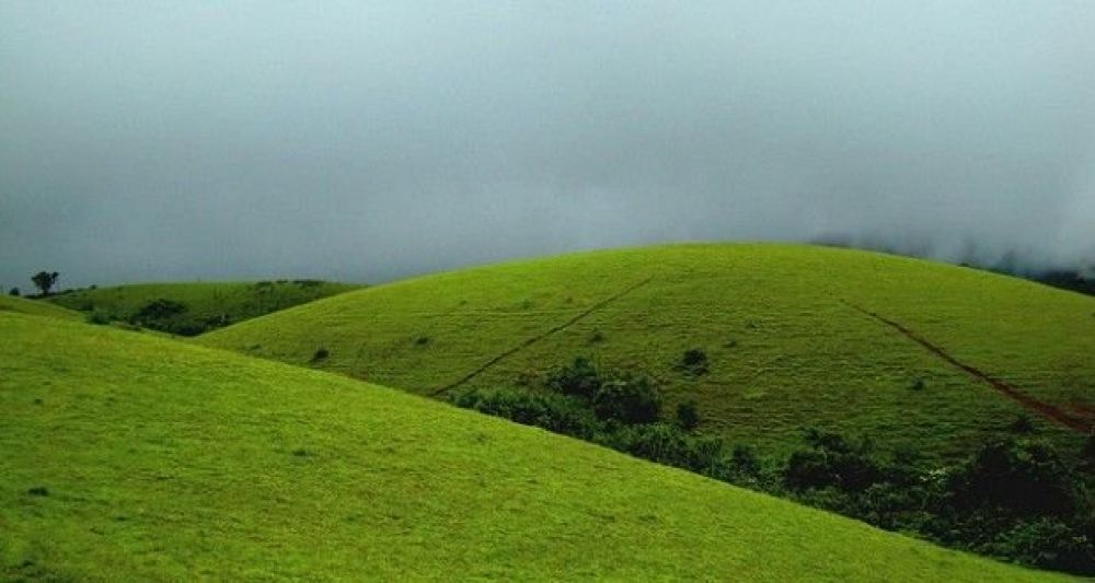 Vagamon mottakunnu